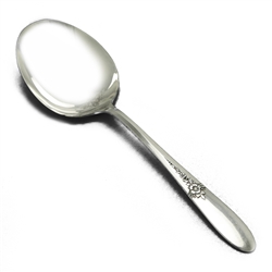 Fantasy by Tudor Plate, Silverplate Berry Spoon