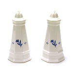 Perennials Cottage Collection by Pfaltzgraff, Stoneware Salt & Pepper