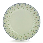 Melody by Johnson Brothers, China Dinner Plate