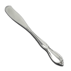Chatelaine by Oneida, Stainless Butter Spreader, Flat Handle