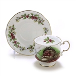 Old St. Nicholas by Rosina/Queens, China Cup & Saucer
