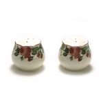 Precious by Nikko, China Salt & Pepper Shakers