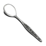 Jardinera by Riviera, Stainless Sugar Spoon