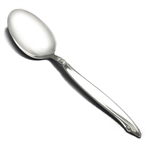 Shoreline by Wm. A. Rogers, Stainless Tablespoon (Serving Spoon)