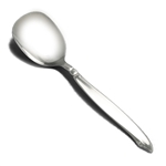 Shoreline by Wm. A. Rogers, Stainless Sugar Spoon