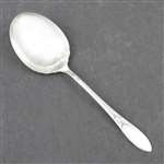 Lady Hamilton by Community, Silverplate Berry Spoon