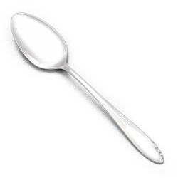 Lasting Spring by Oneida, Sterling Teaspoon