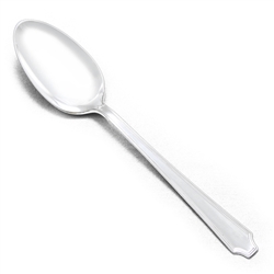 Legacy by 1847 Rogers, Silverplate Dessert Place Spoon