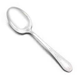 Paul Revere by Community, Silverplate Sugar Spoon