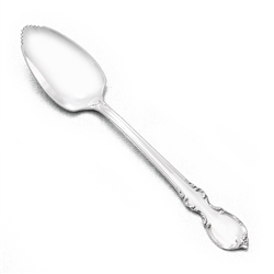 Reflection by 1847 Rogers, Silverplate Grapefruit Spoon