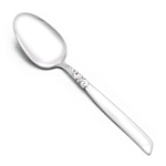 South Seas by Community, Silverplate Dessert/Oval/Place Spoon