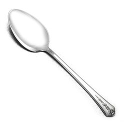 Spring Garden by Holmes & Edwards, Silverplate Dessert Place Spoon