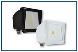 LED flood light