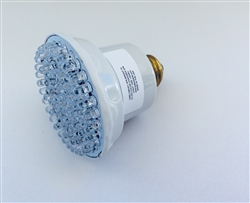 Color Changing LED Spa Bulb