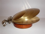 Polished brass shell lamp