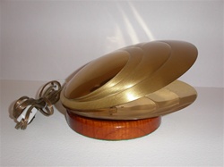 Polished brass shell lamp