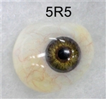 J-27: American Optical Artificial Eyes