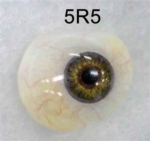 Artificial Eyes Cologne, Eye Prosthesis of Glass, Eye Prostheses