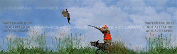 Pheasant 2 Hunting Rear Window Graphic