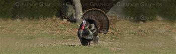 Turkey Dream Hunting Rear Window Graphic