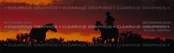 Twilight Horse Rear Window Graphic