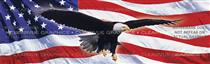 Eagle in Flight Flag Patriotic Rear Window Graphic