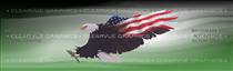 Wings of Freedom Green Patriotic Rear Window Graphic