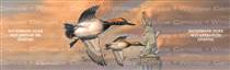 Liberty Canvasbacks Birds & Ducks Rear Window Graphic