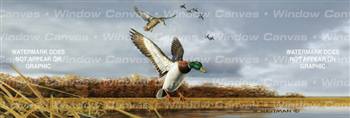 Mallard Flock Birds & Ducks Rear Window Graphic