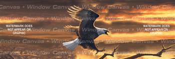 Sunset Bald Eagle Birds & Ducks Rear Window Graphic