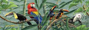 Rain Forest Menagerie Birds & Ducks Rear Window Graphic