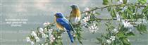 Spring Blossom Bluebirds Birds & Ducks Rear Window Graphic