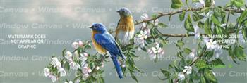 Spring Blossom Bluebirds Birds & Ducks Rear Window Graphic