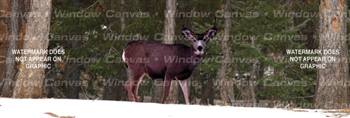Winter Buck Deer Rear Window Graphic