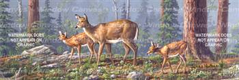 Twin Fawns Deer Rear Window Graphic