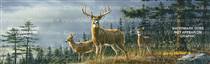 Autumn Whitetails Deer Rear Window Graphic