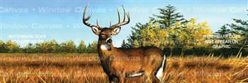 November Buck Deer Rear Window Graphic