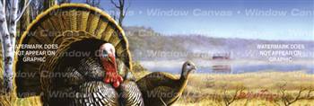 Spring Turkey Wildlife Rear Window Graphic