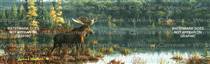 Black Bay Moose Wildlife Rear Window Graphic