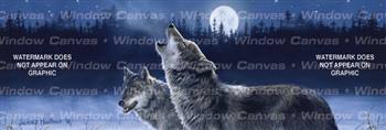 Howling In The Moonlight Wolf Rear Window Graphic