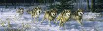 Running Wild Wolf Rear Window Graphic