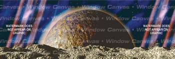 Outworld Misc Rear Window Graphic