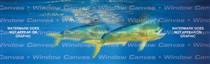 Mahi Mahi Sporting Life Rear Window Graphic