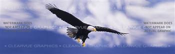 Eagle in Flight Wildlife Rear Window Graphic