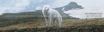 Tundra Song Wildlife Rear Window Graphic