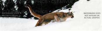 Snow Stalker Wildlife Rear Window Graphic