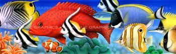 Coral Fish Wildlife Rear Window Graphic