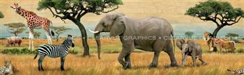 Africa Wildlife Rear Window Graphic