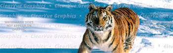 Snow Tiger Wildlife Rear Window Graphic