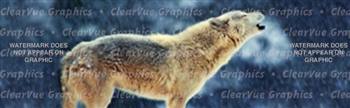 Wolves 2 Wildlife Rear Window Graphic